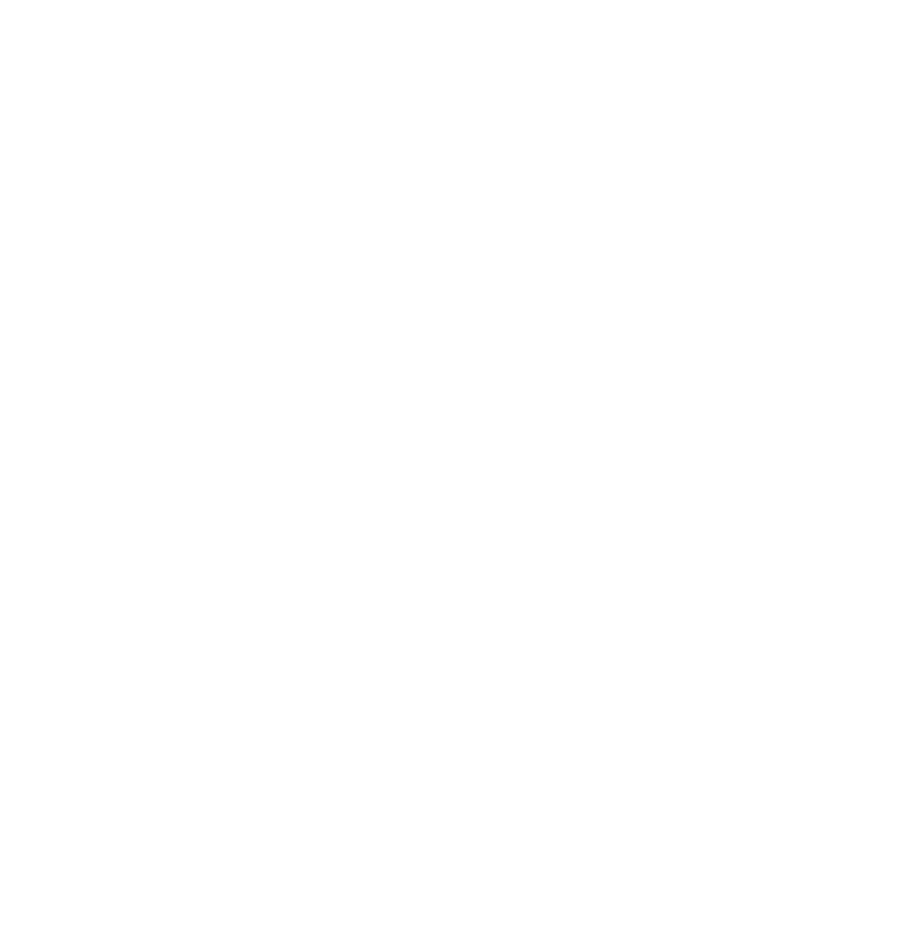 Destine Imports white Logo